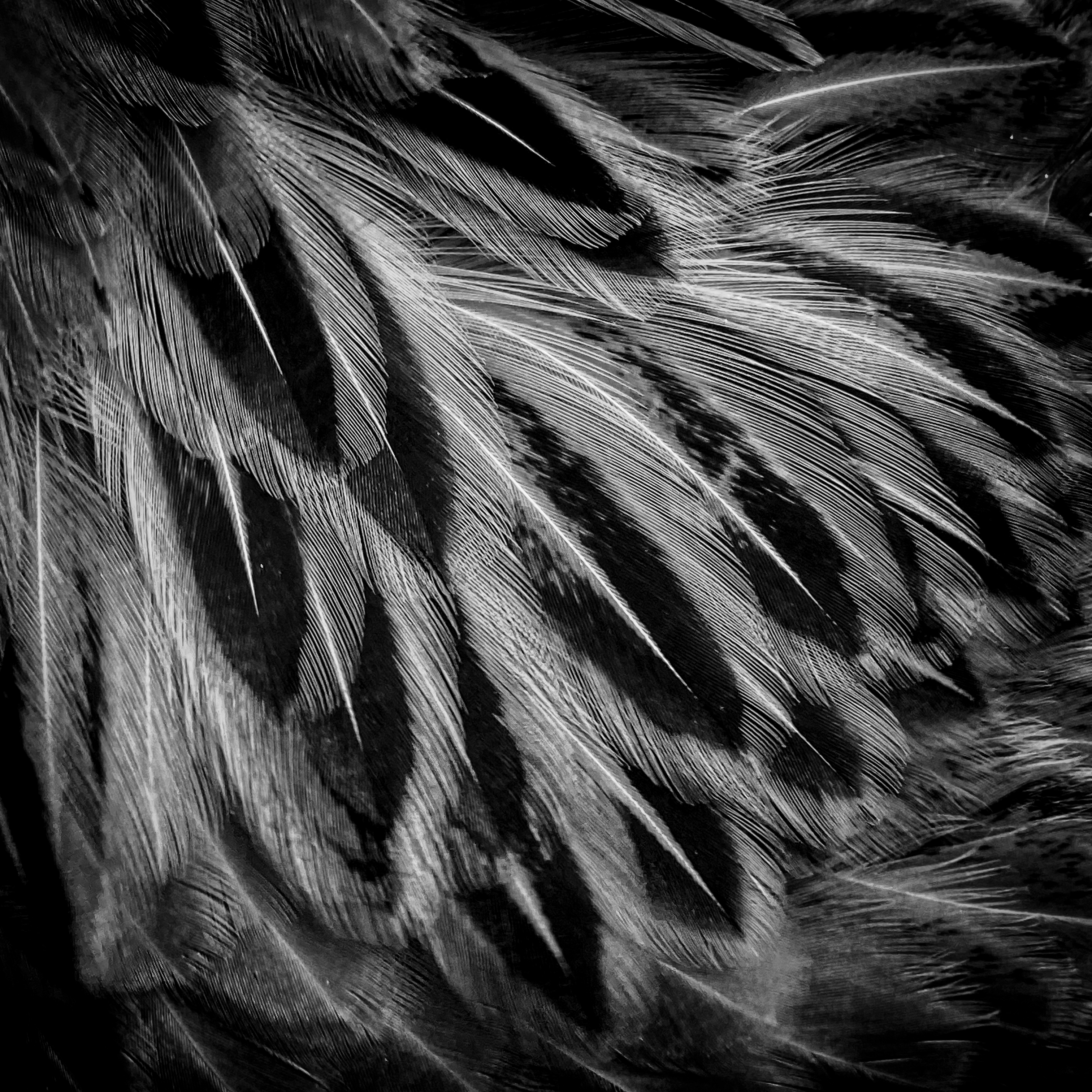 Photography — Nature