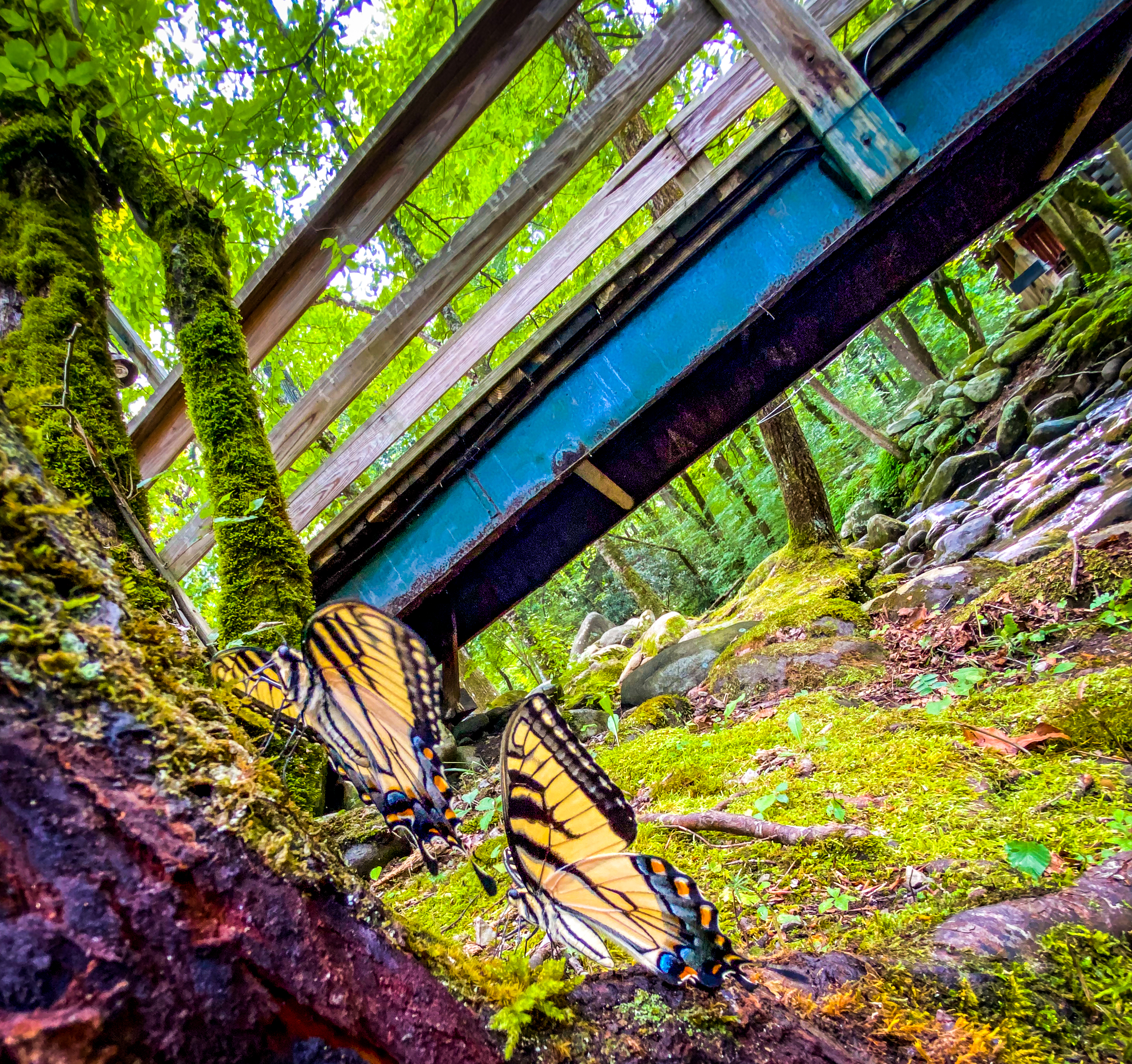 Photography — Landscape