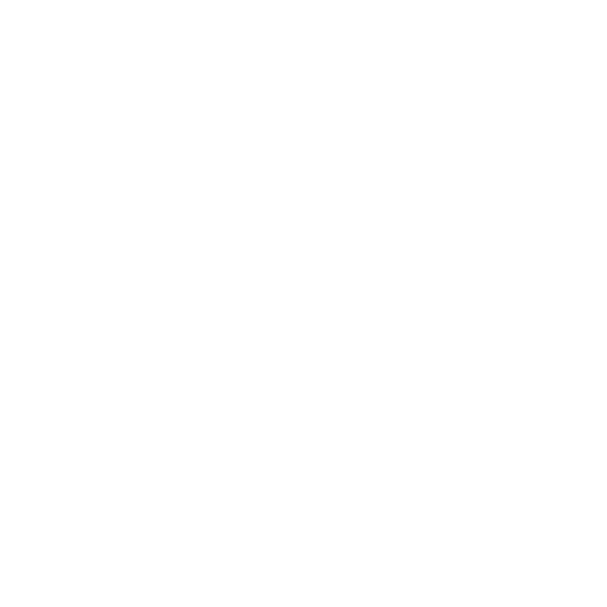 Singularity Chronicles logo